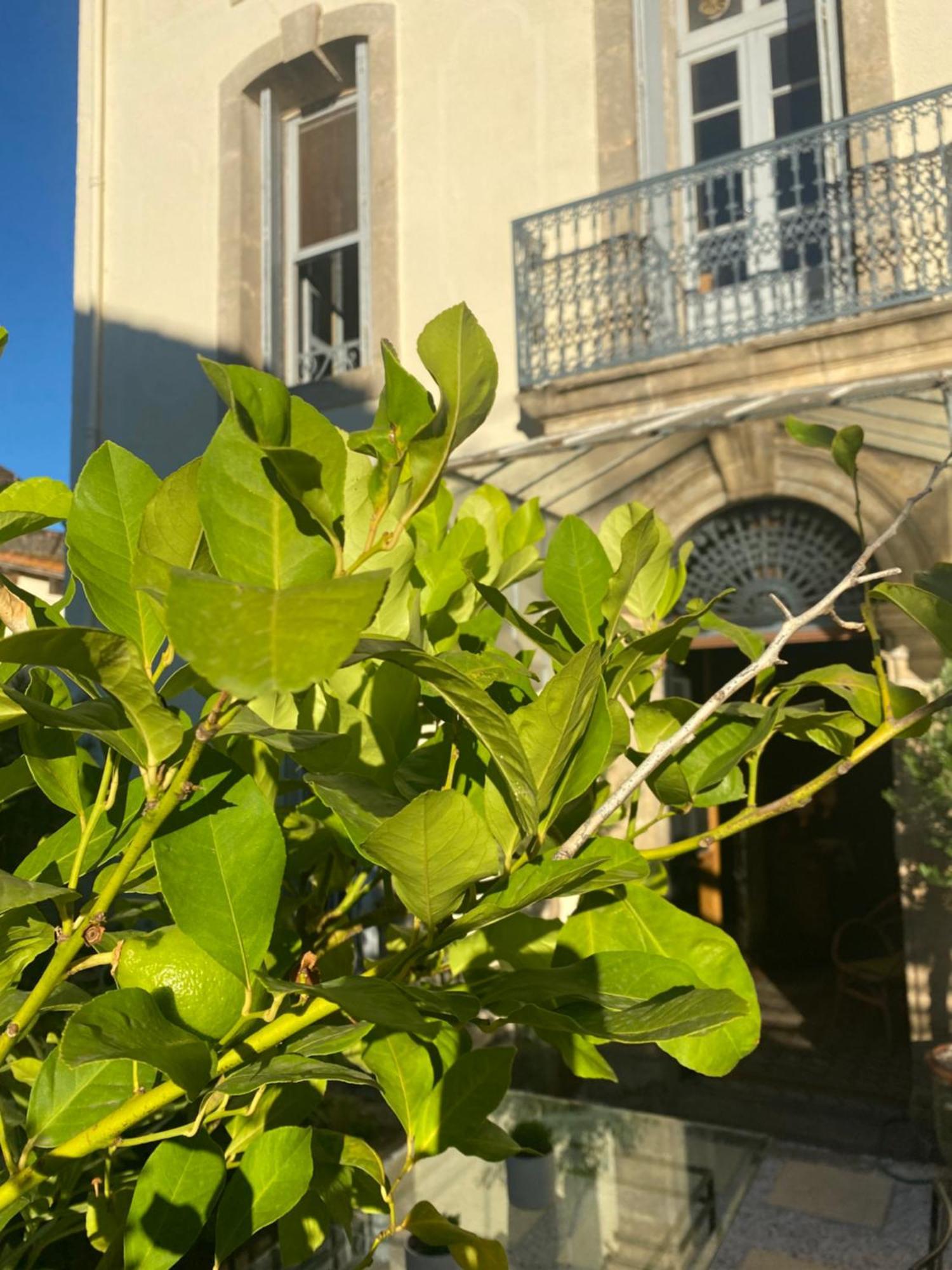 Hotel Le Jardin Aspiran Exterior foto